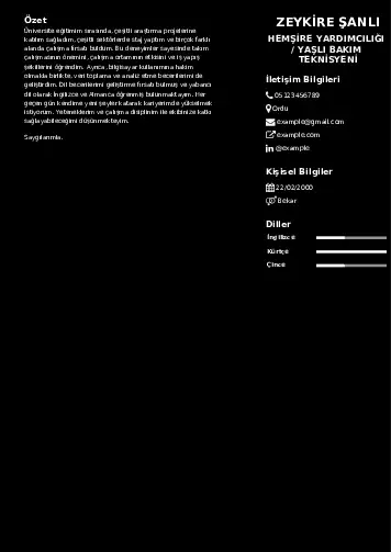 Hasta ve Yaşlı Bakım Elemanı Cv Örnekleri cv indir